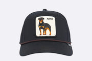 Goorin Bros Cap Alpha Black